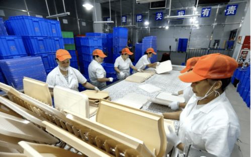 深圳餐具消毒服務(wù)機構(gòu) 引領(lǐng)技術(shù)革新，助推循環(huán)經(jīng)濟發(fā)展