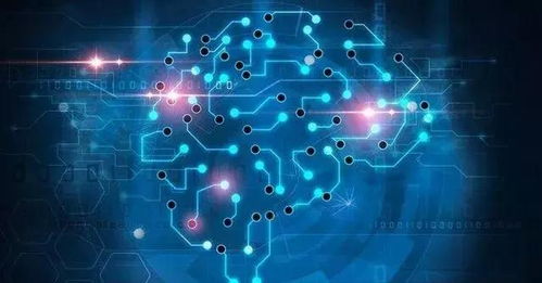 數(shù)據(jù)驅(qū)動(dòng)未來 AI賦能下的智能物流與倉(cāng)庫(kù)管理系統(tǒng)開發(fā)